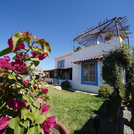 Santerra, Valle De Guadalupe Kültér fotó