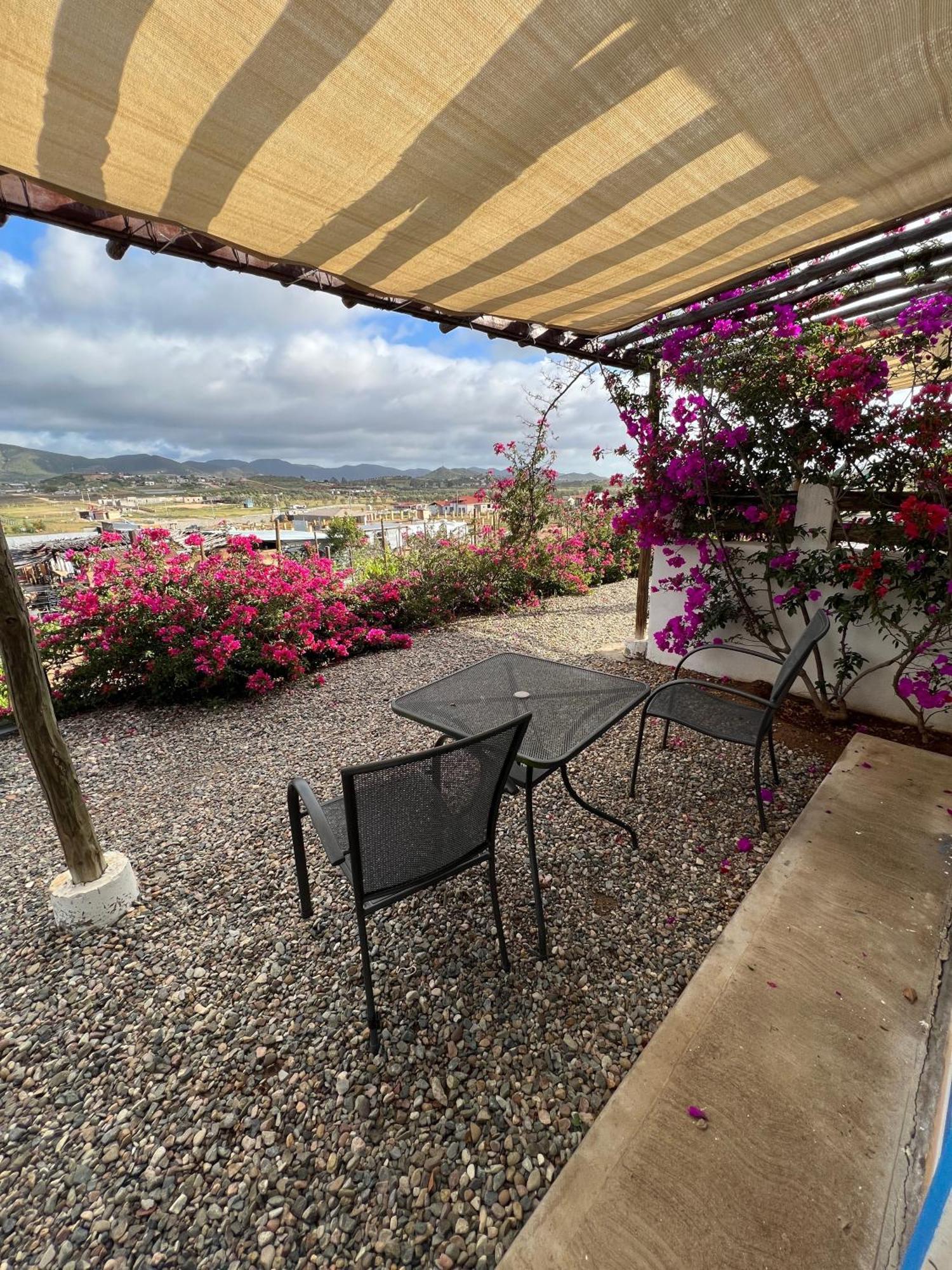 Santerra, Valle De Guadalupe Kültér fotó