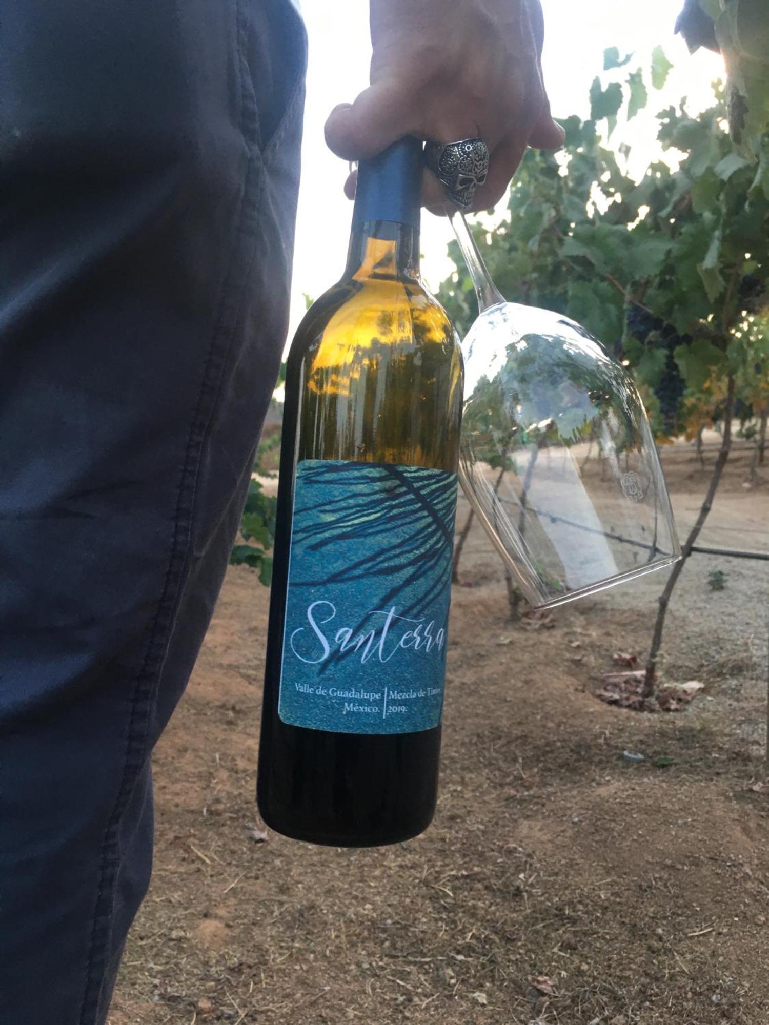 Santerra, Valle De Guadalupe Kültér fotó