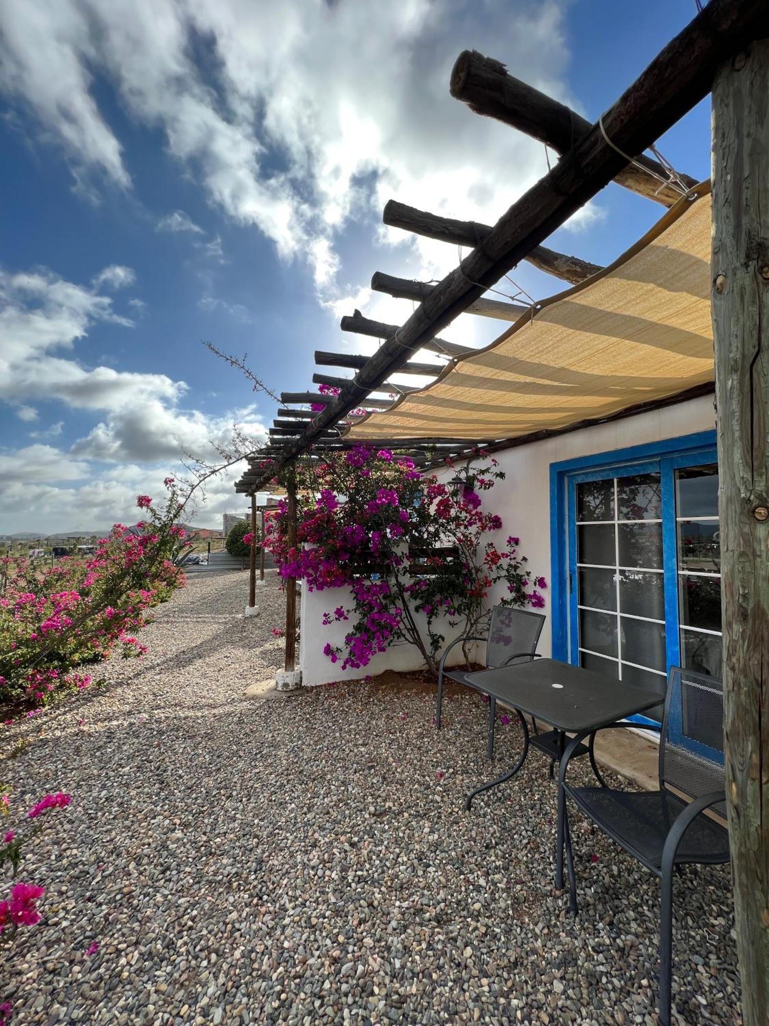 Santerra, Valle De Guadalupe Kültér fotó