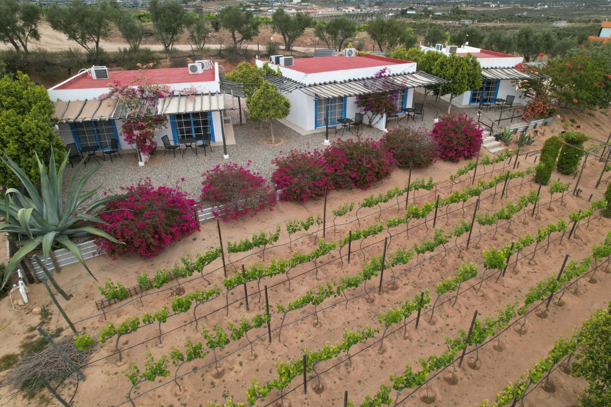 Santerra, Valle De Guadalupe Kültér fotó